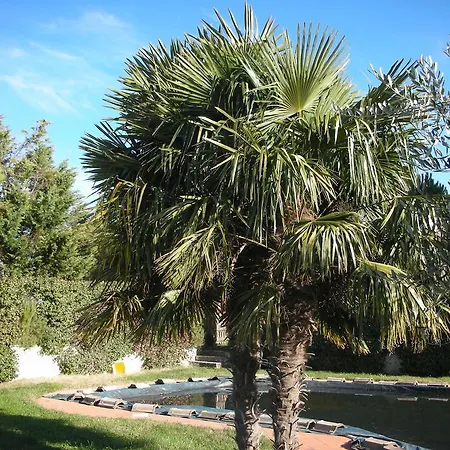 Alloggio per agriturismo San Vito *