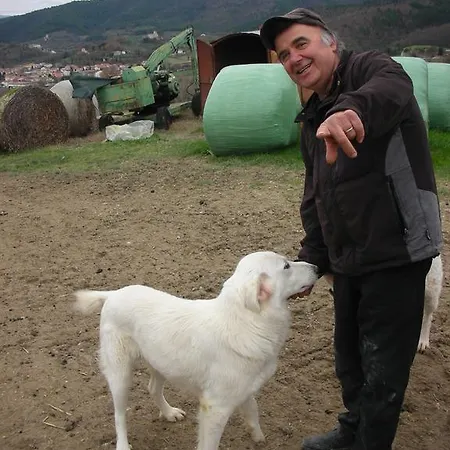 Alloggio per agriturismo San Vito