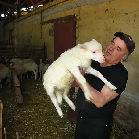 Agriturismo San Vito Farm stay Crocemaroggia