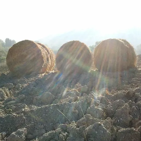 Farm stay Agriturismo San Vito *