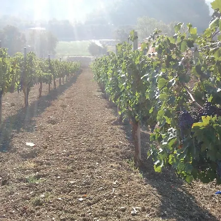 Alloggio per agriturismo San Vito *