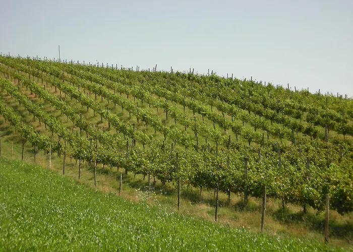 San Vito Crocemaroggia