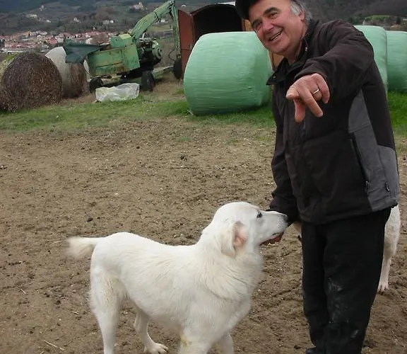 팜스테이 San Vito