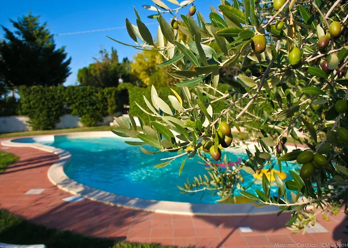 San Vito * Crocemaroggia