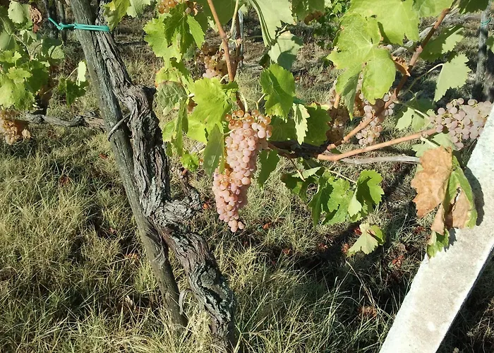 San Vito * Crocemaroggia